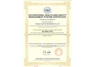 Occupational health and safety management system certification